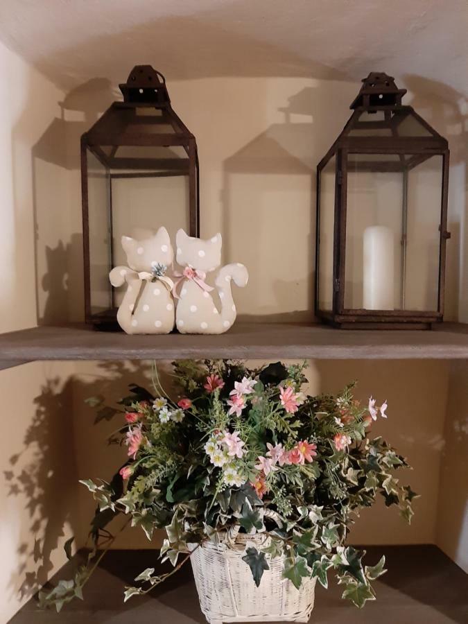 Apartment Shabby Chic House